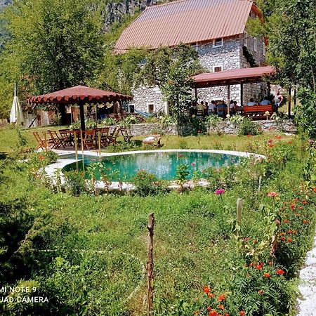 Bjeshkeza Bujtina Nderlysaj Exterior photo